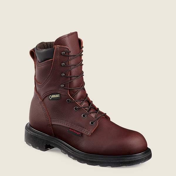 Botas de Trabajo Red Wing Hombre Vino - Supersole® 2.0 - 8-Inch Waterproof Soft Toe - 312-FARYXI